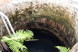 Phát hiện 3 giếng cổ ở Đan Phượng