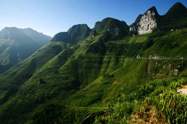 Thông tin 16 vụ bắt cóc người, mổ lấy nội tạng ở Hà Giang không đúng sự thật 