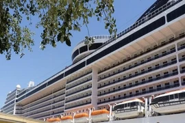 Chiến binh cực đoan đến Trung Đông tham chiến bằng...tàu du lịch