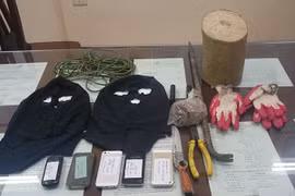 Gỗ sưa tại nhiều đình, chùa ở Hà Nội bị "bốc hơi" đêm mưa gió