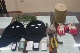 Gỗ sưa tại nhiều đình, chùa ở Hà Nội bị "bốc hơi" đêm mưa gió