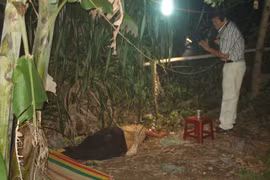 Thương tâm vụ con tâm thần sát đánh chết mẹ ruột