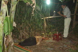 Thương tâm vụ con tâm thần sát đánh chết mẹ ruột