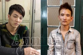 Về quê ăn Tết, nữ Việt kiều bị cướp điện thoại Iphone 