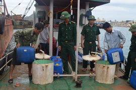 Bắt tàu chở 3.000 lít dầu có nguồn gốc phi pháp