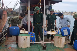 Bắt tàu chở 3.000 lít dầu có nguồn gốc phi pháp