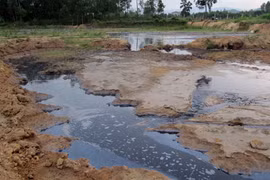 Nhà máy đường Phổ Phong xả thải ô nhiễm môi trường