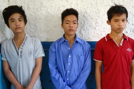 Ổ nhóm 1 ngày 7 lần chặn xe tải, cướp tài sản