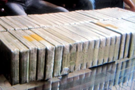 Xét xử 13 bị cáo trong đường dây vận chuyển 223 bánh heroin