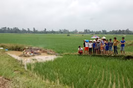 Bị sét đánh khi đang đi gặt lúa, 2 người tử vong