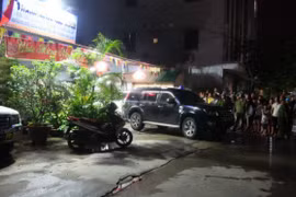 Điều tra nguồn gốc hai cây gỗ sưa trị giá hàng chục tỷ đồng trong vụ Minh “sâm”