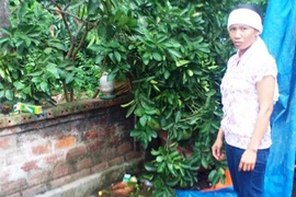 “Nghi án bố chồng nàng dâu”, con trai đẩy khiến cha ngã tử vong