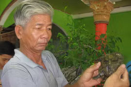 Phát hiện con ba ba có hình mặt người