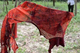 Phát hiện một phụ nữ chết bất thường trong rừng keo