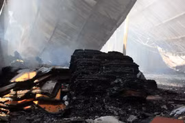 Cháy lớn xưởng xay bột gỗ, công nhân bỏ chạy tán loạn