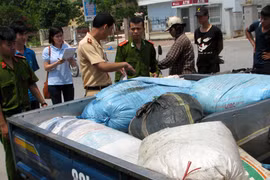 Bắt giữ xe tải chở gần 1 tấn mỡ và da động vật thối