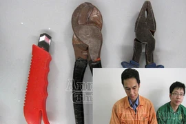 Giả danh thợ điện cắt trộm dây cáp điện