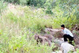 Phát hiện thi thể thiếu nữ đang phân huỷ trong rẫy ngô 