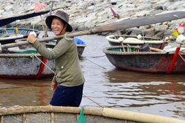 Đời "má hồng" đi biển