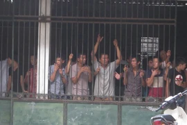 Đột kích trường gà, tạm giữ 94 con bạc