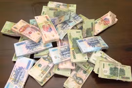 Bác đơn kháng cáo đối với nữ thủ kho thụt két trên 31,3 tỉ đồng