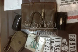 Tóm gọn hai đối tượng chuyên mang dao "phóng lợn" đi cướp giật