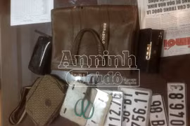 Tóm gọn hai đối tượng chuyên mang dao "phóng lợn" đi cướp giật