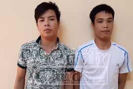 Thấy 2 trâu ngoài bờ đê "vắng chủ", hai nam thanh niên gọi xe tải đến bắt trộm