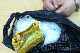 Hà Nội: Phát hiện vụ mua bán ma túy đá số lượng lớn