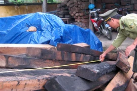 Lâm tặc ngang nhiên đốt gỗ tang vật