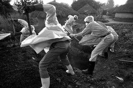 10 quan chức của Liberia bị sa thải vì “vô trách nhiệm” trước đại dịch Ebola