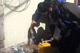 Đội tình nguyện nhặt bơm kim tiêm vì cộng đồng