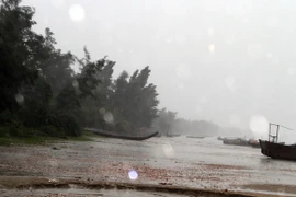 Một số ngư dân cố thủ ngoài biển để bảo vệ tài sản đang kêu cứu vì gió bão quá mạnh