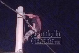 Ngáo đá, nam thanh niên leo cột điện la hét