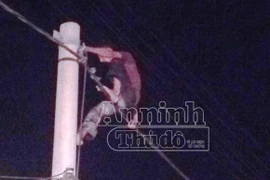 Ngáo đá, nam thanh niên leo cột điện la hét