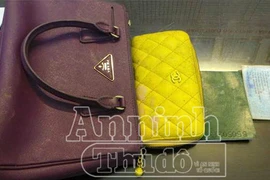 Hai tên cướp giật tài sản hàng loạt sa lưới