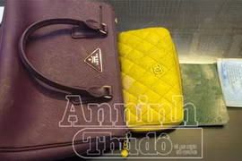 Hai tên cướp giật tài sản hàng loạt sa lưới