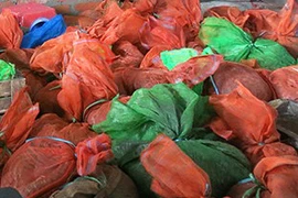 Đột kích cơ sở buôn bán trái phép động vật hoang dã