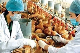 Chưa phát hiện virus cúm A/H7N9 ở Việt Nam