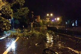 Bão số 3 gây thiệt hại 20 tỷ đồng ở Quảng Ninh