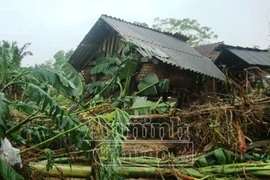Tan hoang nơi lũ quét đi qua
