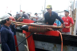 Liên kết từ 20-30 chủ tàu khai thác cá ngừ theo chuỗi giá trị