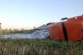 Container chở hàng nghìn thùng bia lao xuống ruộng