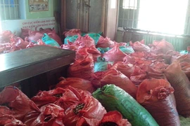 Bắt vụ vận chuyển trái phép quả ươi số lượng “khủng”