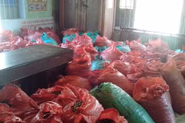 Bắt vụ vận chuyển trái phép quả ươi số lượng “khủng”