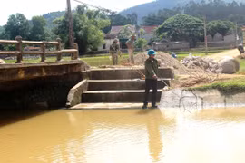 Bị bệnh ung thư máu, một người phụ nữ nhảy kênh tự tử?