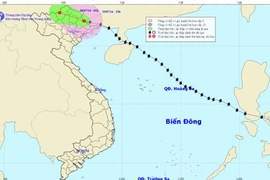 Bão số 2 đã suy yếu thành áp thấp nhiệt đới 