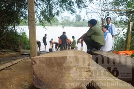 Giấu 100m3 gỗ lậu dưới… đáy sông!