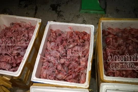 Phát hiện 3.000 con chim cút ướp lạnh đang bốc mùi
