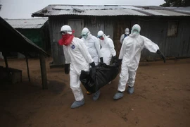 Cặp vợ chồng tung tin đồn nhảm về dịch Ebola bị phạt 20 triệu đồng